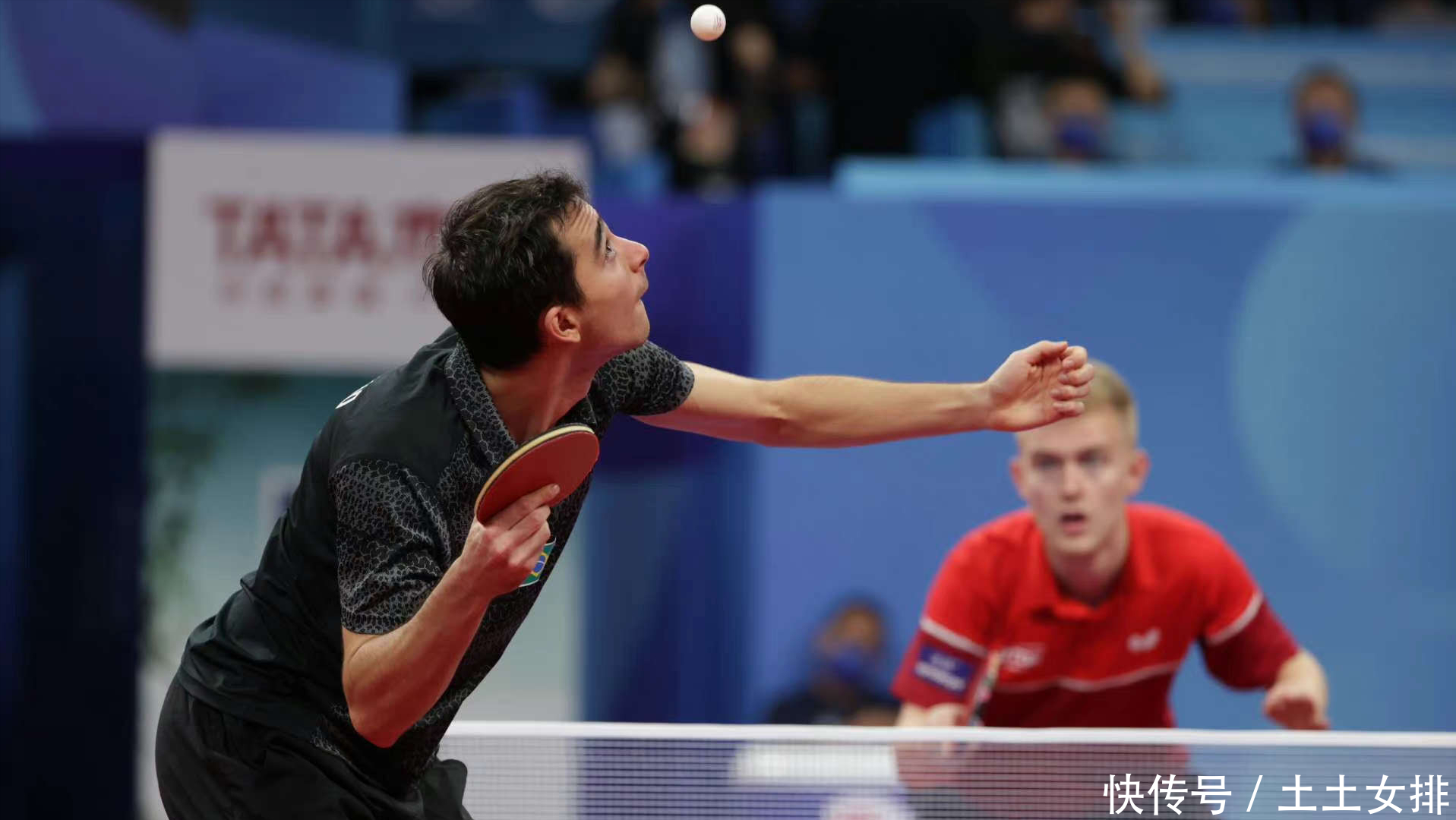 往往披着 往往披着